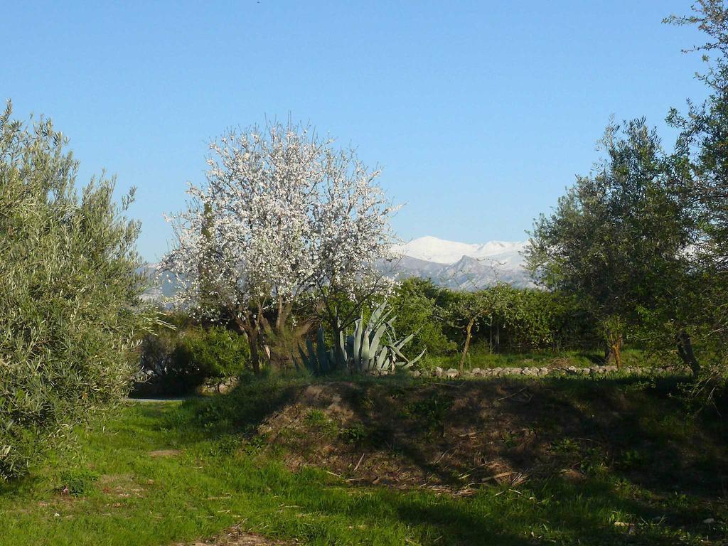 Cortijo Algabia Guest House Alhendin Bagian luar foto